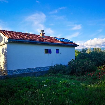 Ecohouse Oliveglia Šilo Exterior foto